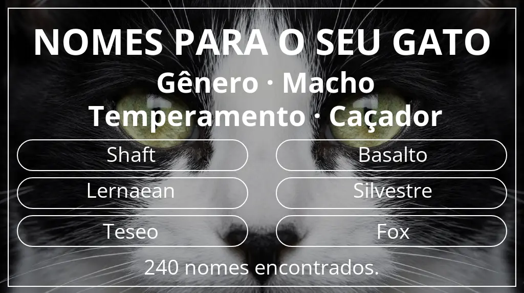 Nomes para gatos com inspiração em gênero macho e temperamento caçador