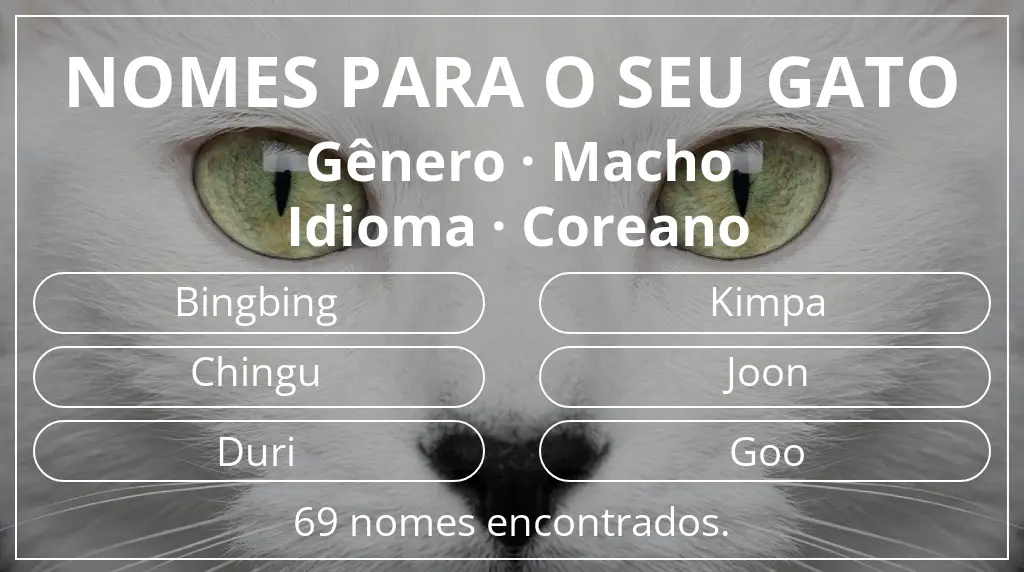 Nomes para gatos com inspiração em gênero macho e idioma coreano