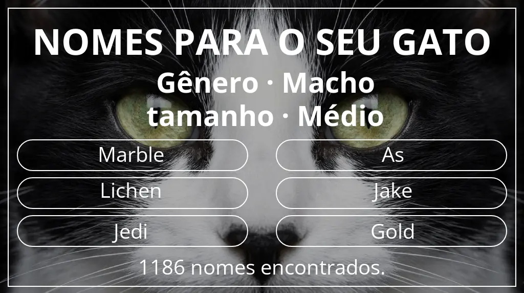 Nomes de gatos com inspiração em gênero macho e tamanho médio