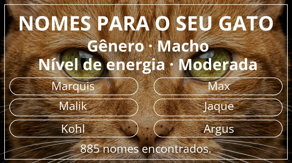 Nomes para gatos baseados em gênero macho e nível de energia moderada