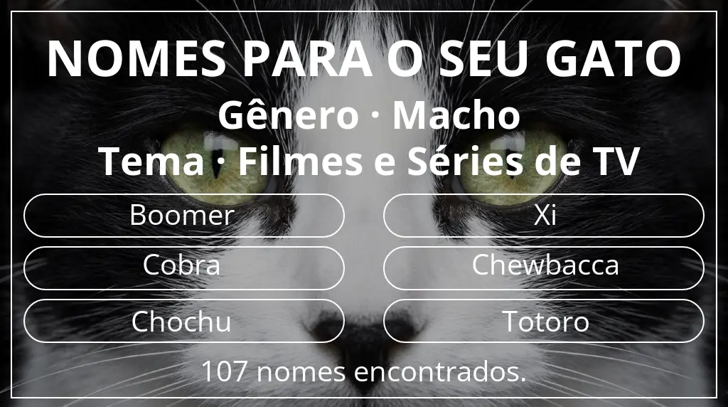 Nomes para gatos relacionados com gênero macho e tema filmes e séries de tv