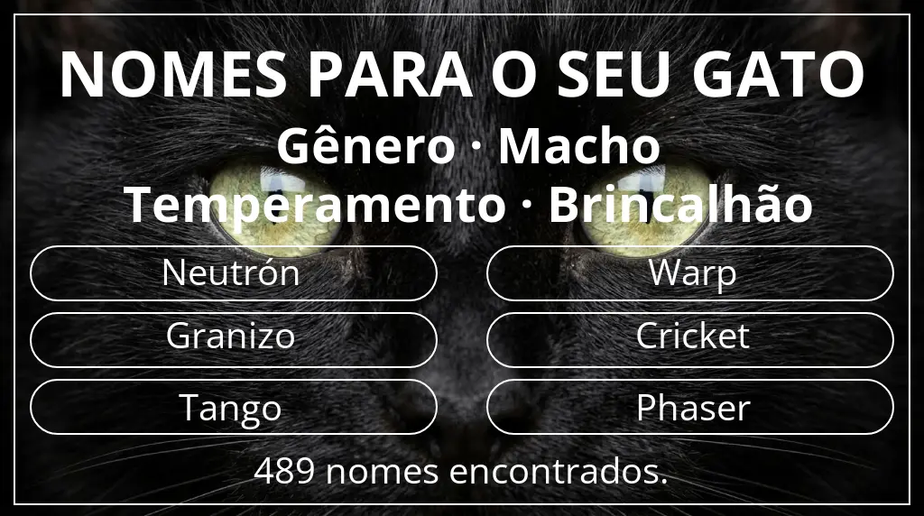 Nomes de gatos com inspiração em gênero macho e temperamento brincalhão