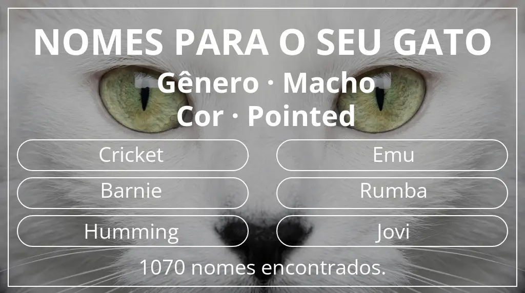 Nomes de gatos baseados em gênero macho e cor pointed