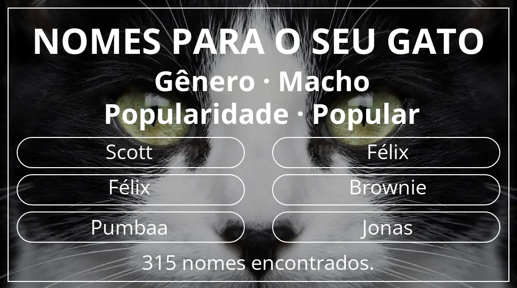 Nomes de gatos relacionados com gênero macho e popularidade popular