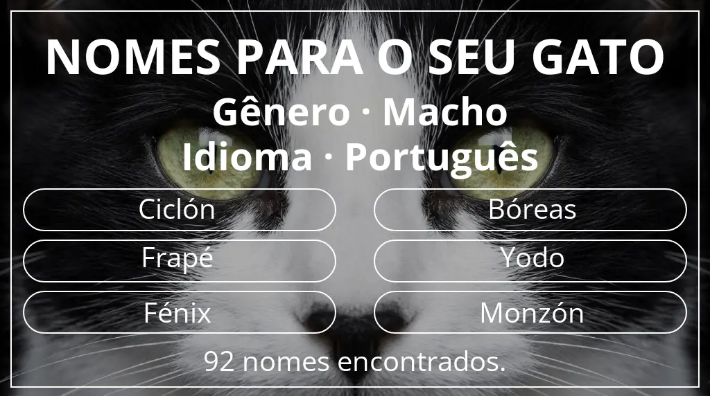 Nomes para gatos com inspiração em gênero macho e idioma português