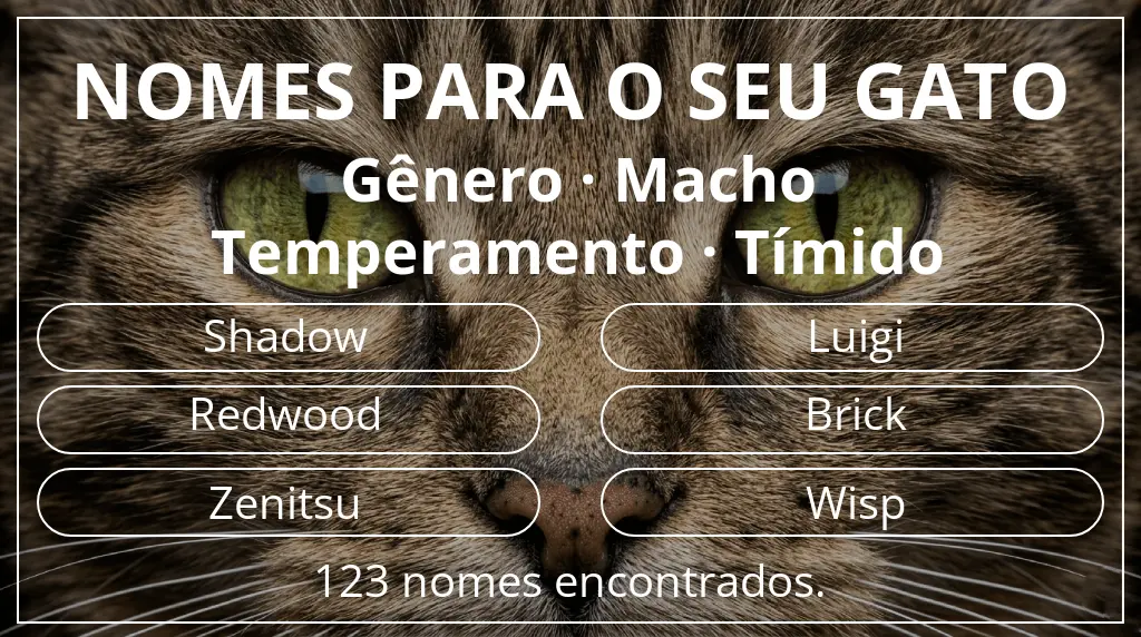 Nomes para gatos com inspiração em gênero macho e temperamento tímido