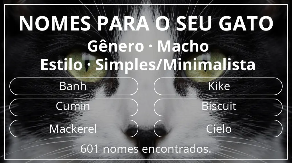 Nomes felinos relacionados com gênero macho e estilo simples/minimalista