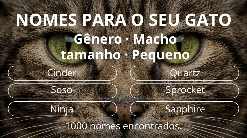 Nomes de gatos baseados em gênero macho e tamanho pequeno