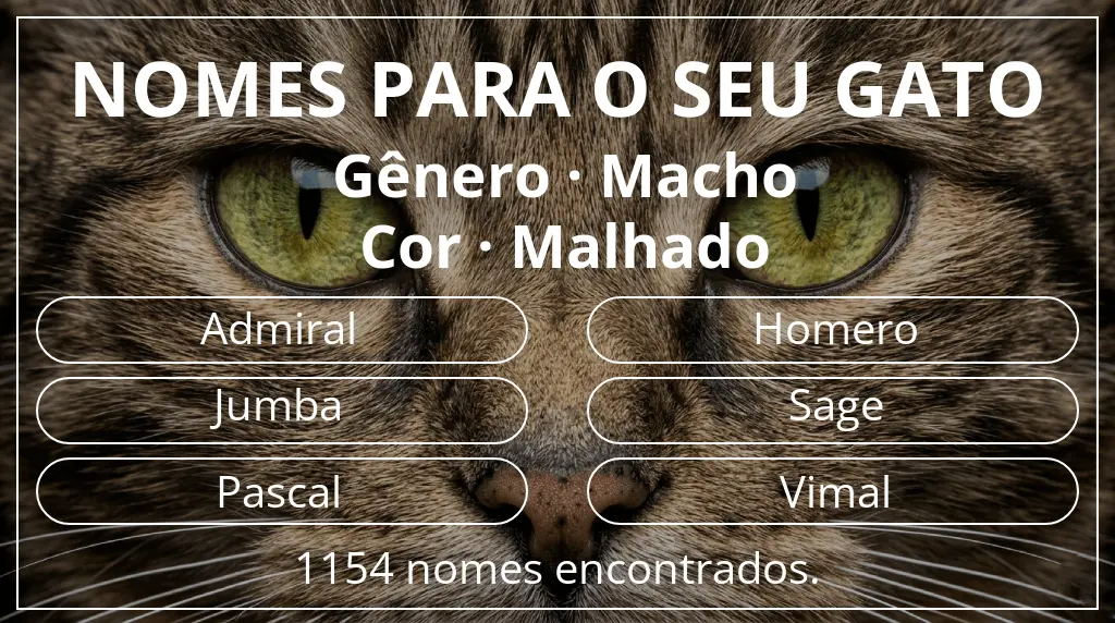 Nomes de gatos com inspiração em gênero macho e cor malhado
