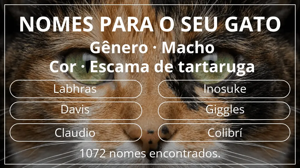 Nomes para gatos baseados em gênero macho e cor escama de tartaruga