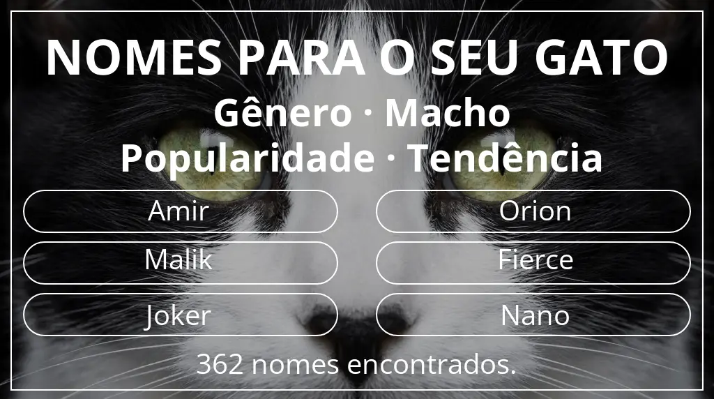 Nomes de gatos relacionados com gênero macho e popularidade tendência