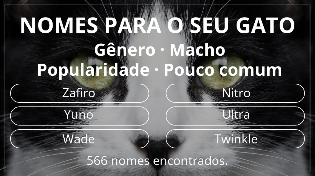 Nomes de gatos com inspiração em gênero macho e popularidade pouco comum