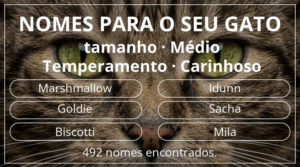 Nomes felinos com inspiração em tamanho médio e temperamento carinhoso