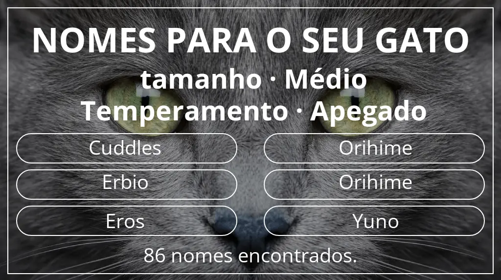 Nomes para gatos com inspiração em tamanho médio e temperamento apegado