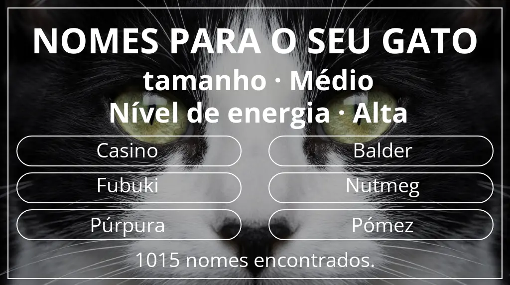 Nomes felinos relacionados com tamanho médio e nível de energia alta