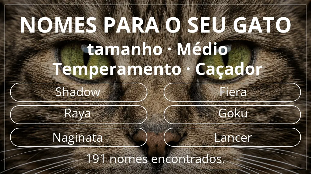 Nomes felinos com inspiração em tamanho médio e temperamento caçador