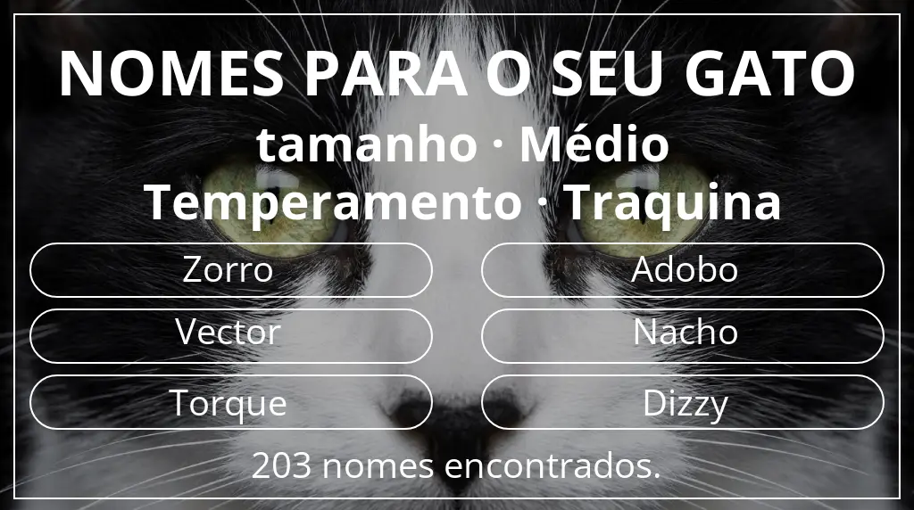 Nomes felinos com inspiração em tamanho médio e temperamento traquina