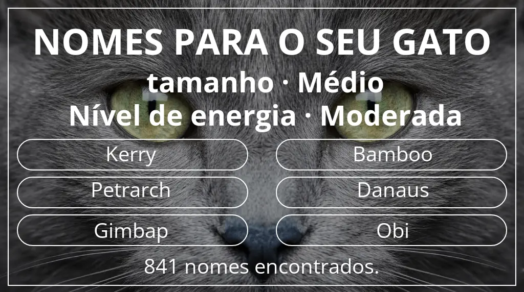 Nomes felinos baseados em tamanho médio e nível de energia moderada