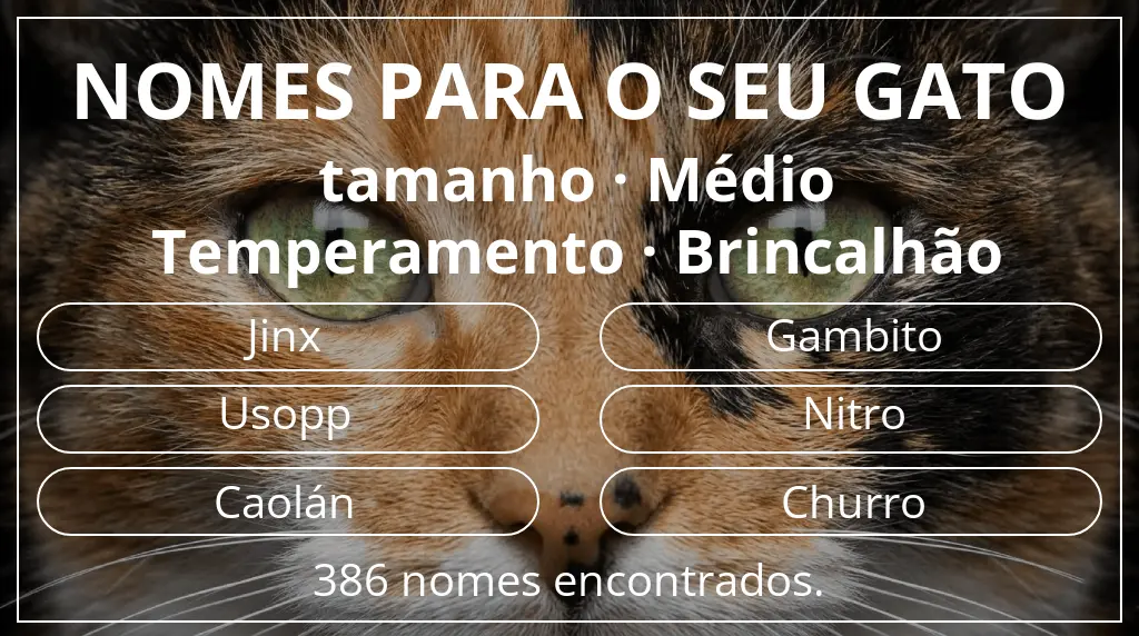Nomes para gatos com inspiração em tamanho médio e temperamento brincalhão