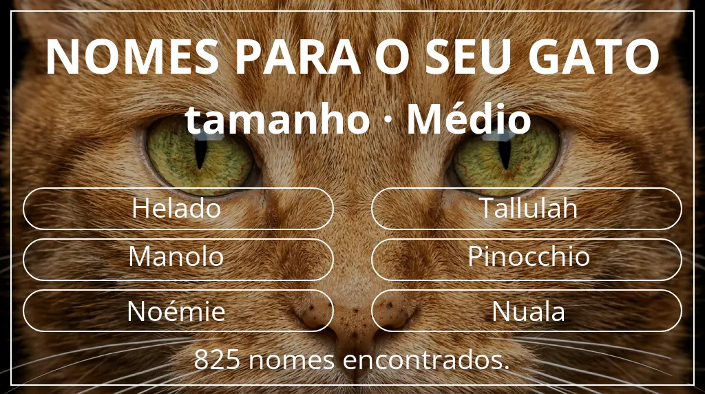 Nomes para gatos baseados em tamanho médio