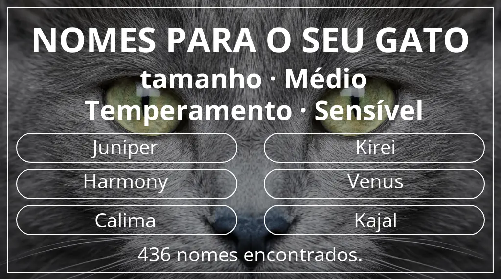 Nomes felinos com inspiração em tamanho médio e temperamento sensível