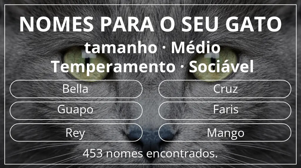 Nomes felinos com inspiração em tamanho médio e temperamento sociável