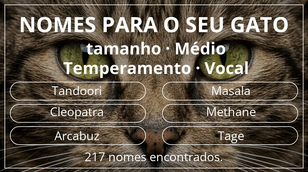 Nomes felinos relacionados com tamanho médio e temperamento vocal