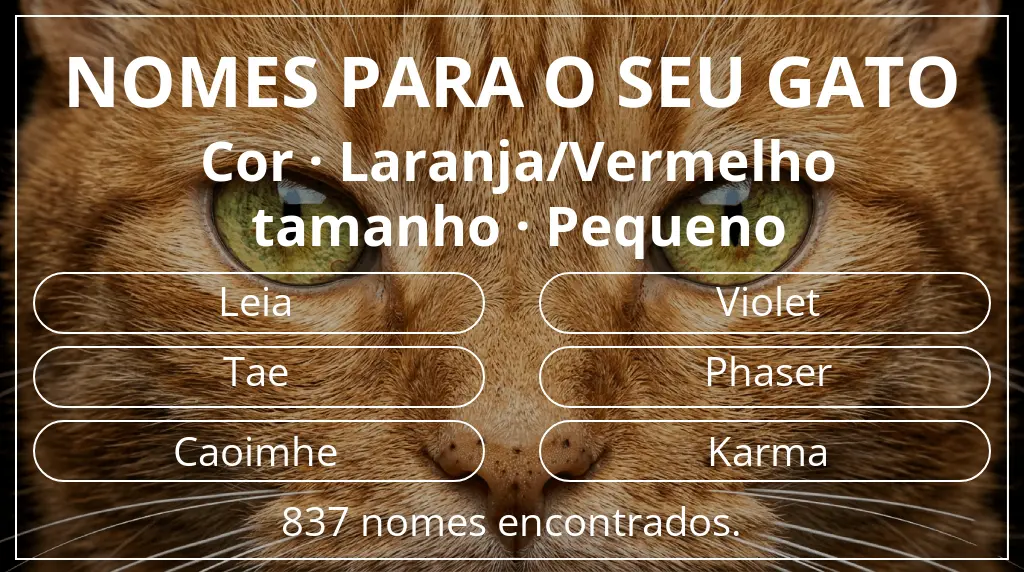 Nomes felinos com inspiração em cor laranja/vermelho e tamanho pequeno