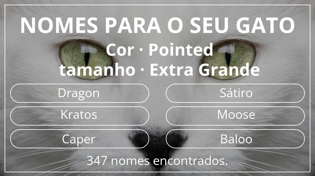 Nomes de gatos com inspiração em cor pointed e tamanho extra grande