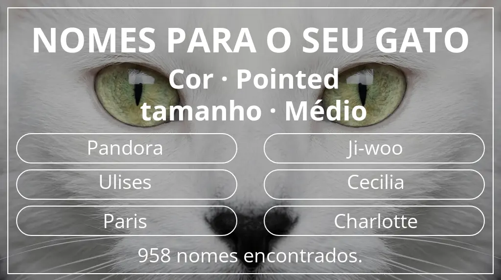 Nomes para gatos relacionados com cor pointed e tamanho médio