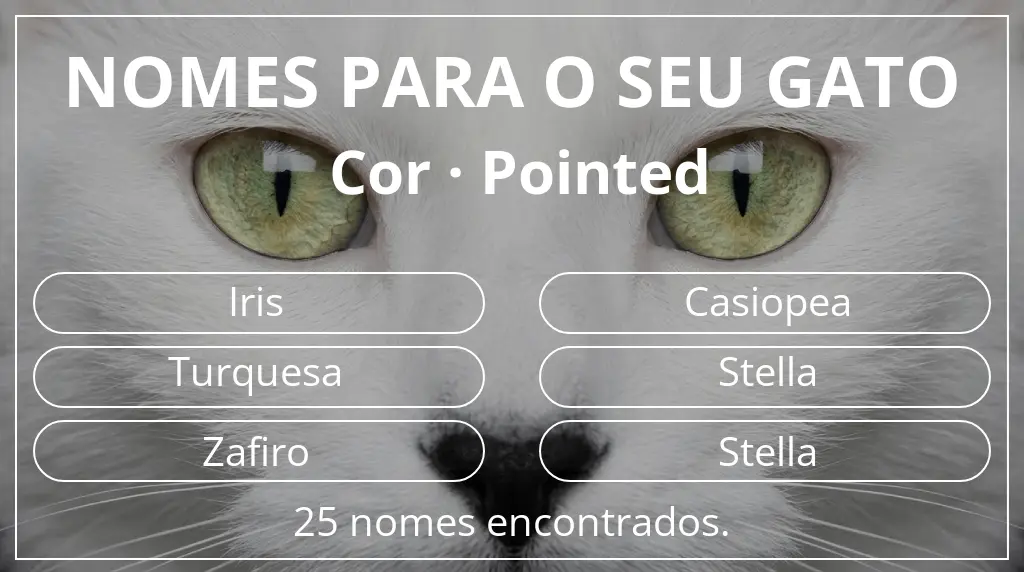 Nomes de gatos com inspiração em cor pointed