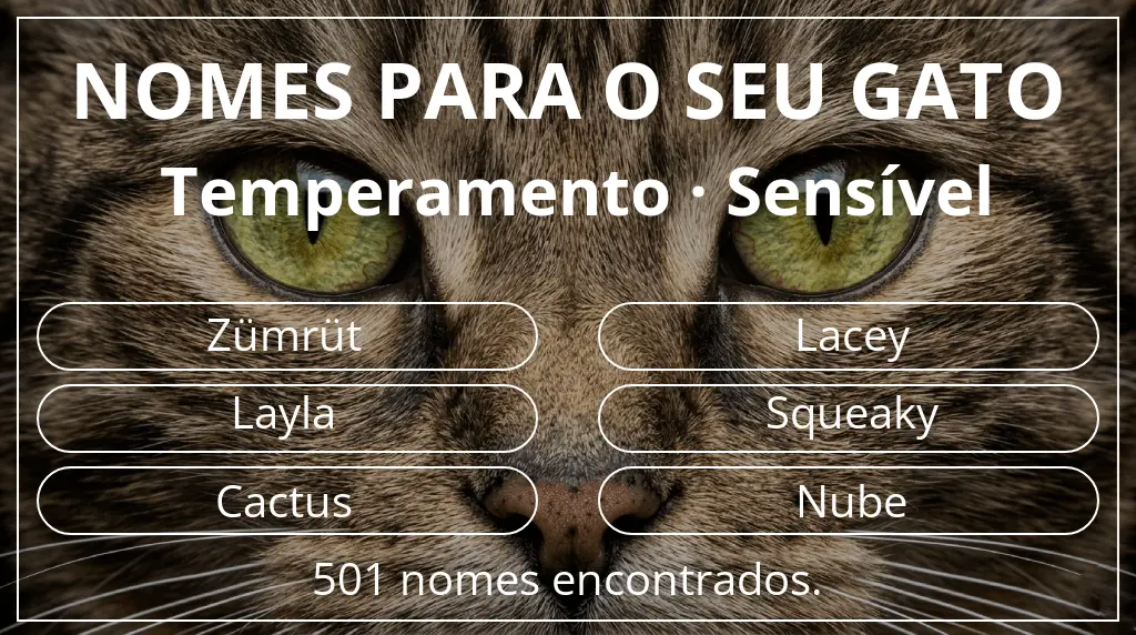 Nomes felinos com inspiração em temperamento sensível