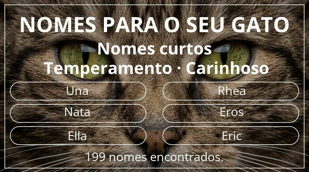 Nomes de gatos relacionados com comprimento do nome curto (2–4) e temperamento carinhoso