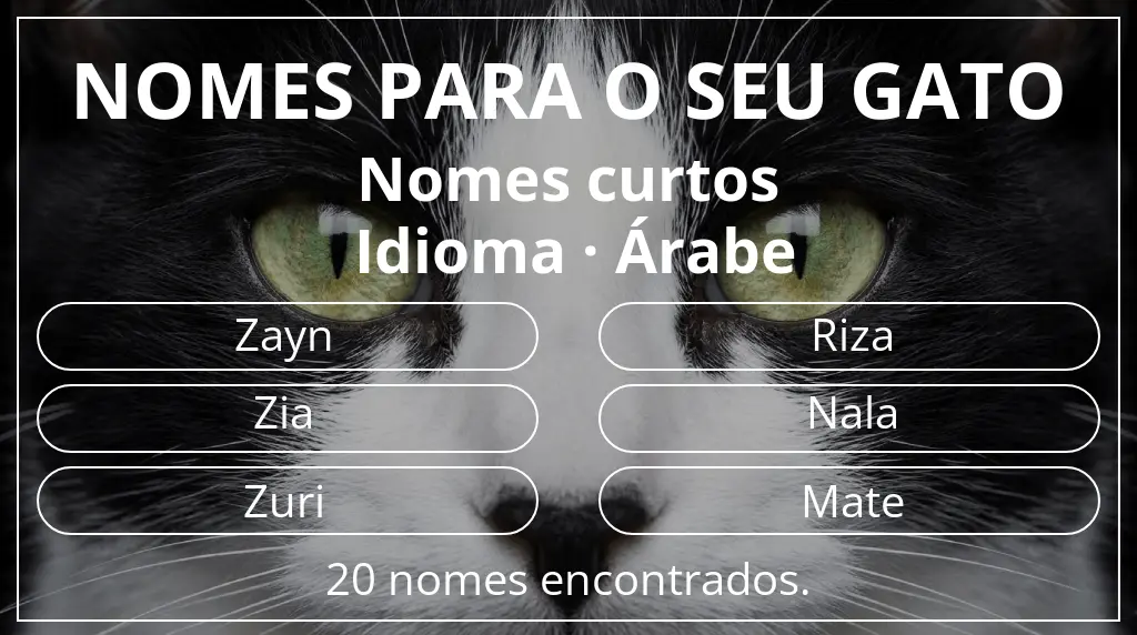 Nomes para gatos baseados em comprimento do nome curto (2–4) e idioma árabe
