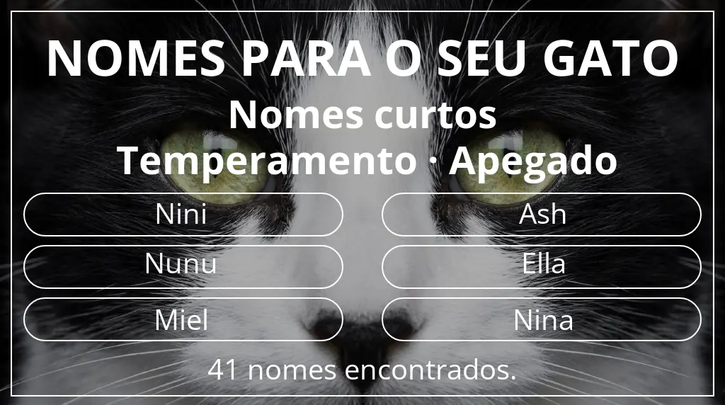 Nomes para gatos baseados em comprimento do nome curto (2–4) e temperamento apegado