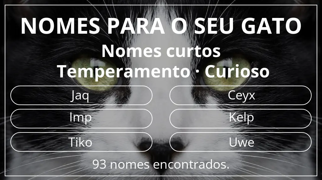 Nomes felinos com inspiração em comprimento do nome curto (2–4) e temperamento curioso
