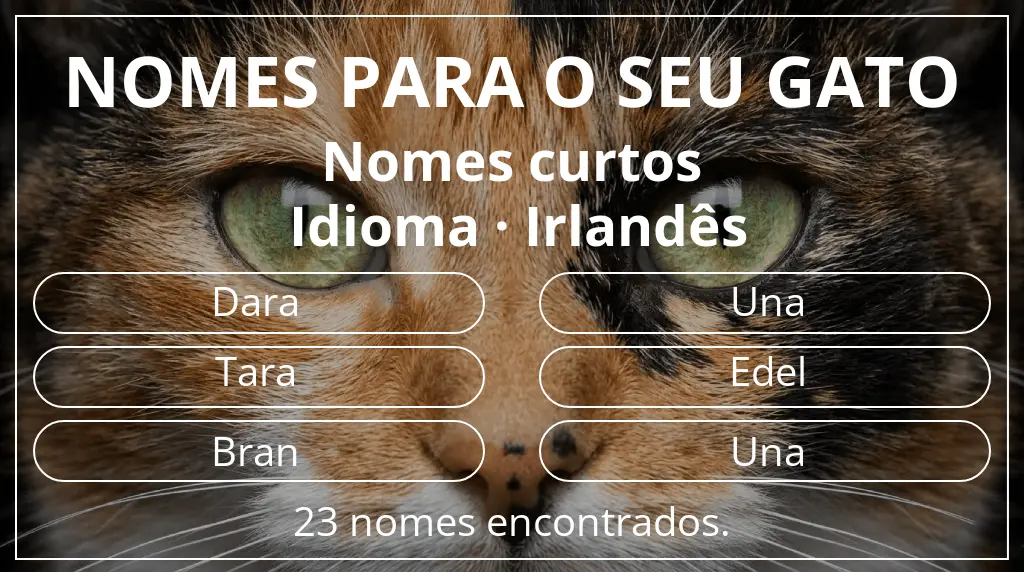Nomes para gatos com inspiração em comprimento do nome curto (2–4) e idioma irlandês