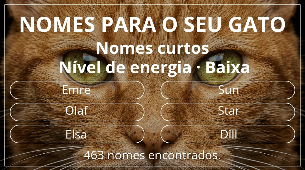 Nomes de gatos relacionados com comprimento do nome curto (2–4) e nível de energia baixa