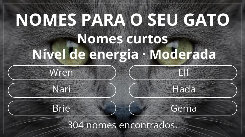 Nomes para gatos com inspiração em comprimento do nome curto (2–4) e nível de energia moderada