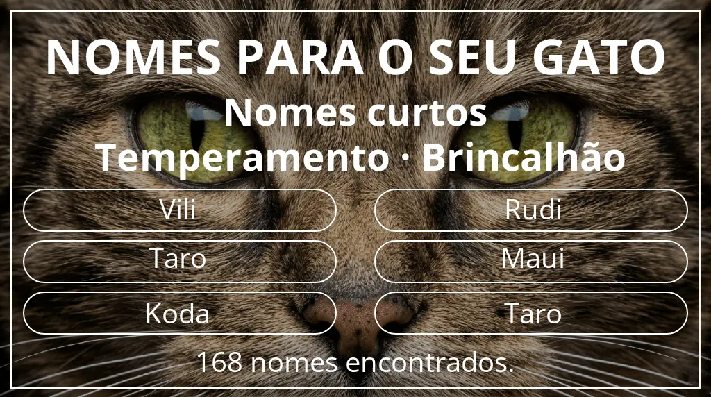 Nomes felinos relacionados com comprimento do nome curto (2–4) e temperamento brincalhão