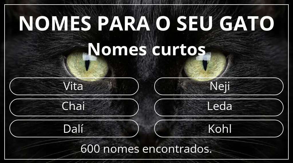 Nomes para gatos com inspiração em comprimento do nome curto (2–4)