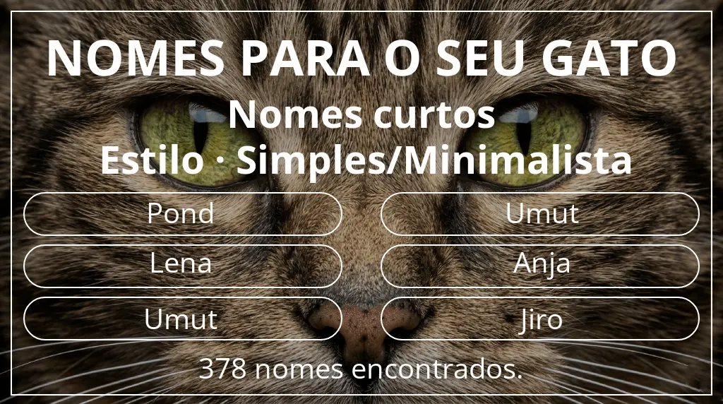 Nomes para gatos relacionados com comprimento do nome curto (2–4) e estilo simples/minimalista