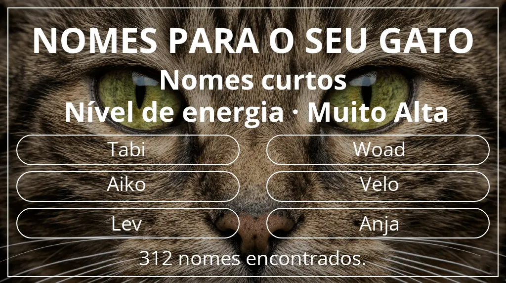 Nomes de gatos com inspiração em comprimento do nome curto (2–4) e nível de energia muito alta