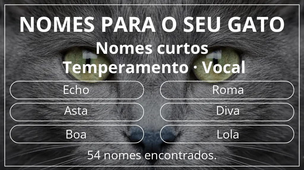 Nomes para gatos relacionados com comprimento do nome curto (2–4) e temperamento vocal