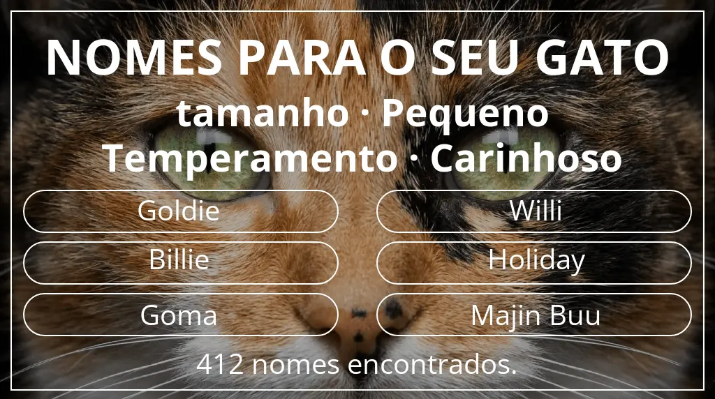 Nomes de gatos com inspiração em tamanho pequeno e temperamento carinhoso