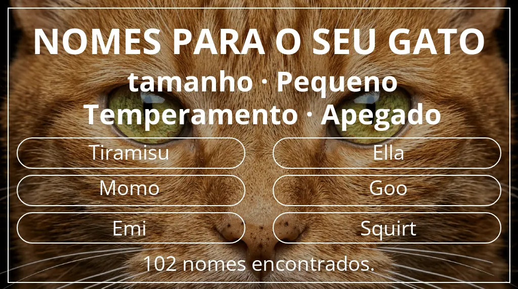 Nomes felinos baseados em tamanho pequeno e temperamento apegado