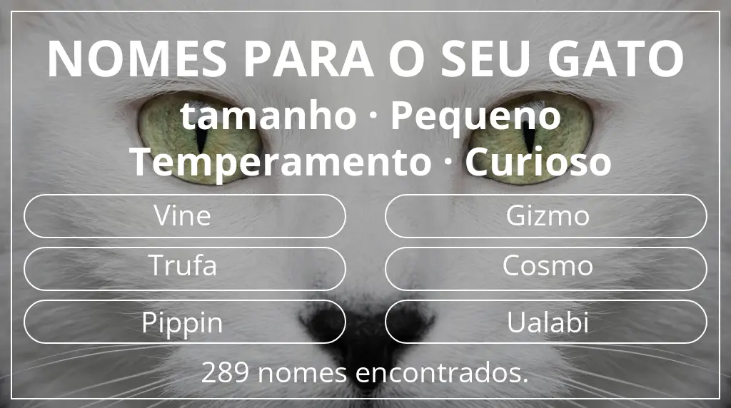 Nomes para gatos baseados em tamanho pequeno e temperamento curioso