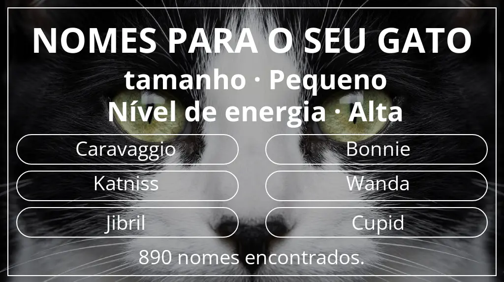 Nomes de gatos baseados em tamanho pequeno e nível de energia alta