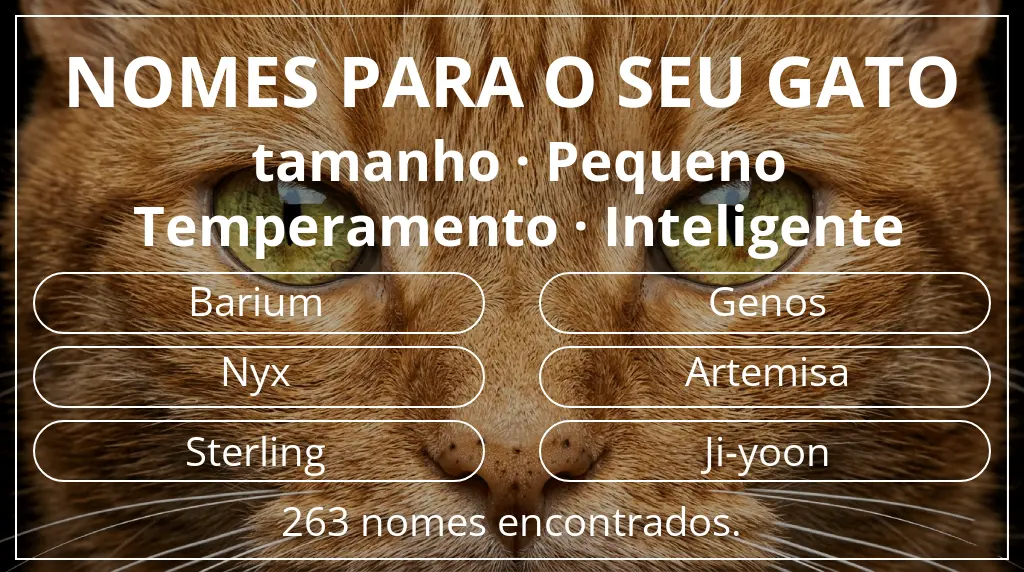 Nomes para gatos baseados em tamanho pequeno e temperamento inteligente