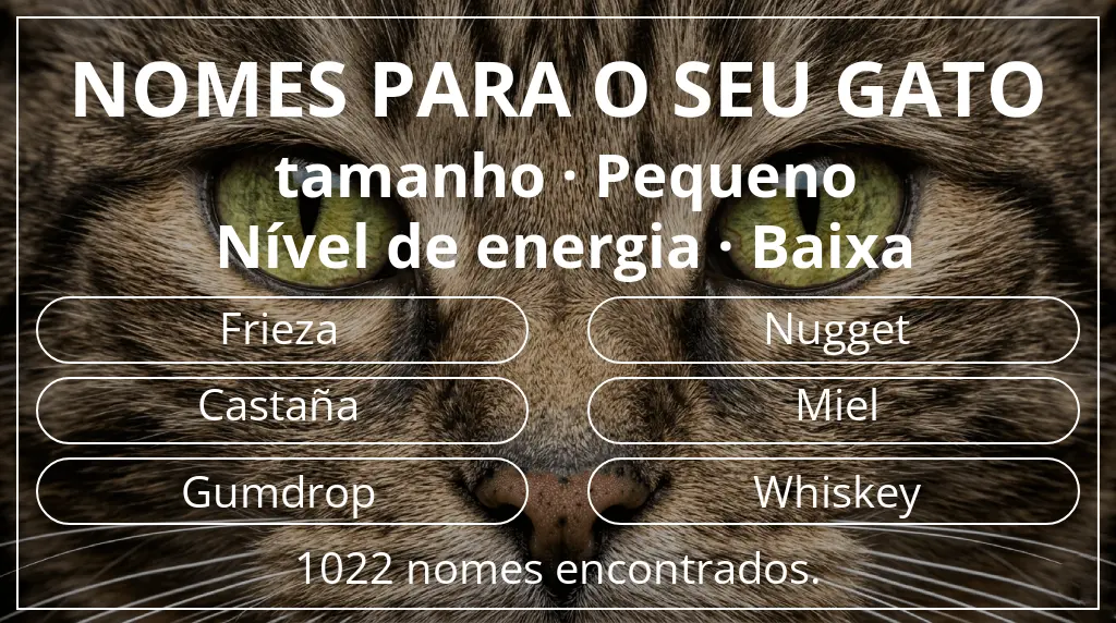 Nomes de gatos com inspiração em tamanho pequeno e nível de energia baixa
